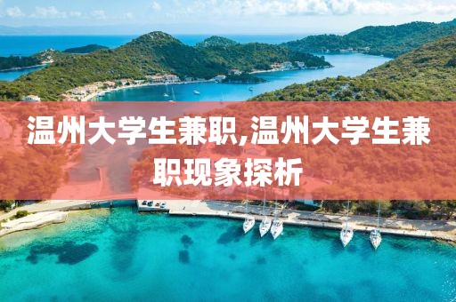 温州大学生兼职,温州大学生兼职现象探析