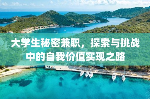 大学生秘密兼职，探索与挑战中的自我价值实现之路