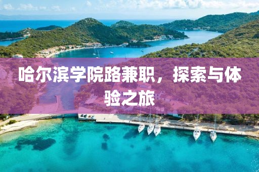 哈尔滨学院路兼职，探索与体验之旅