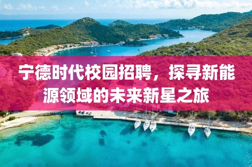 宁德时代校园招聘，探寻新能源领域的未来新星之旅