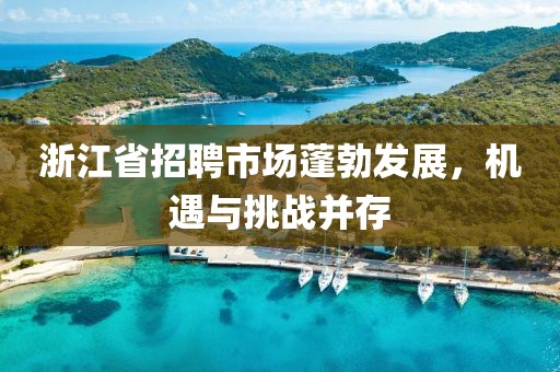 浙江省招聘市场蓬勃发展，机遇与挑战并存