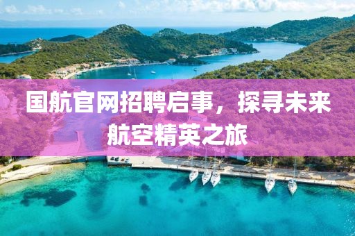 国航官网招聘启事，探寻未来航空精英之旅