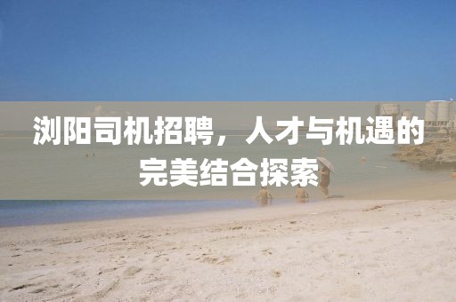 浏阳司机招聘，人才与机遇的完美结合探索