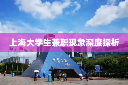 上海大学生兼职现象深度探析