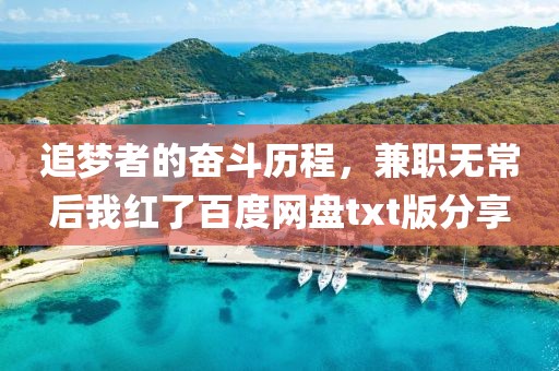 追梦者的奋斗历程，兼职无常后我红了百度网盘txt版分享