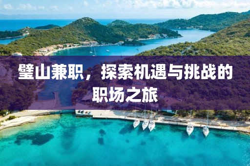 璧山兼职，探索机遇与挑战的职场之旅